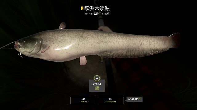 蹲鳇碰瓷星猪猪，强行锁起来