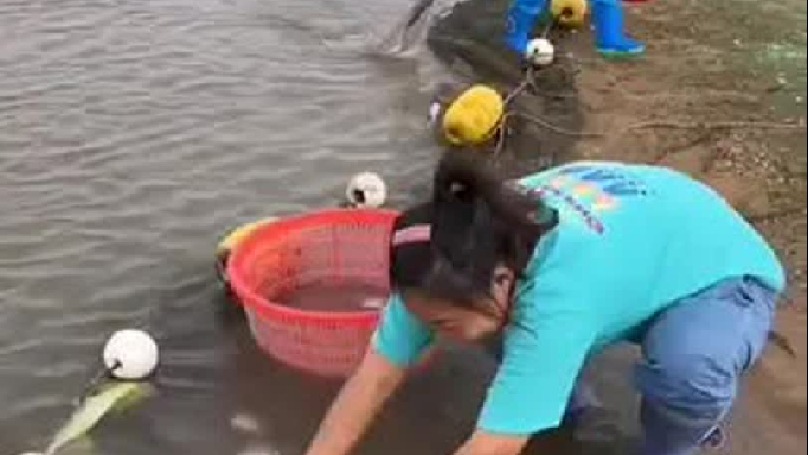 我发布了一个新视频，快来围观吧！