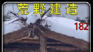 男子在自家后院搭建地下两居室秘密基地，把隔壁邻居都能馋哭了（1）