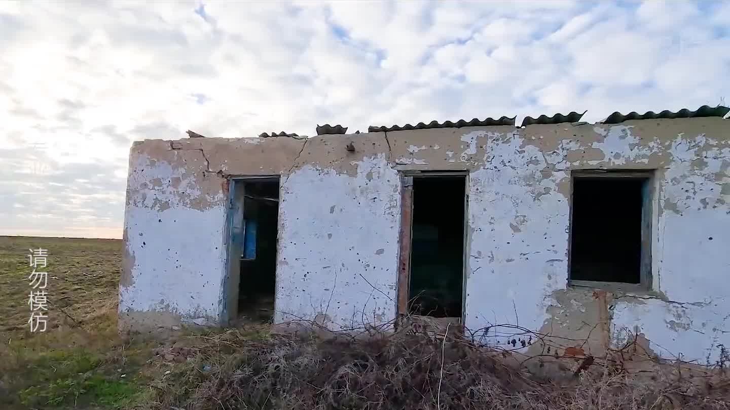 擦炮小哥带着沙皇又来搞事，旧房改造被他玩明白了