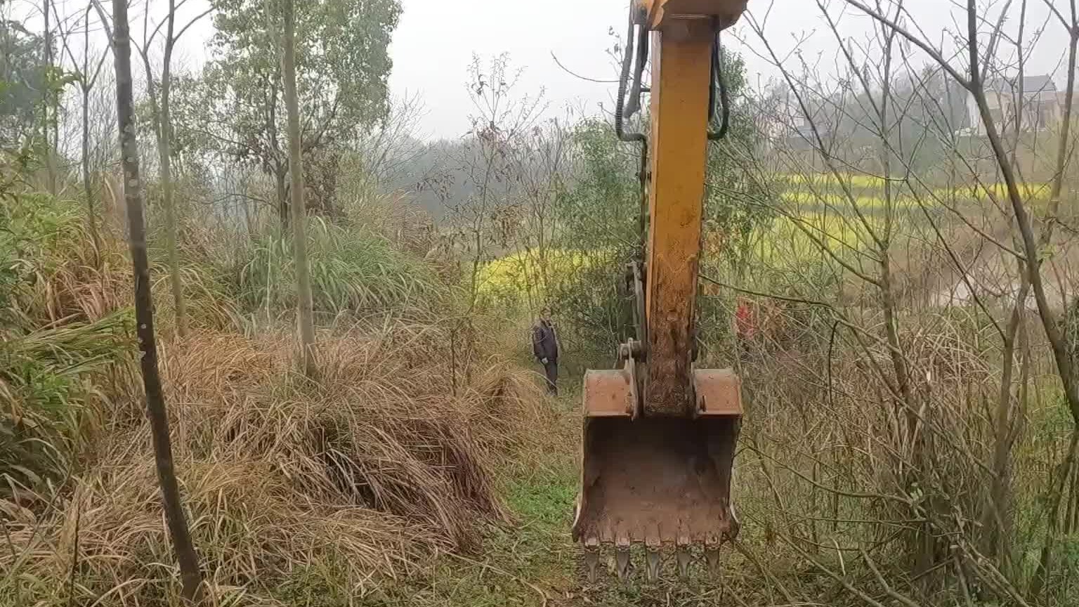 自己砍树两三天，腰酸背痛家里都。只能喊来挖机来帮忙。