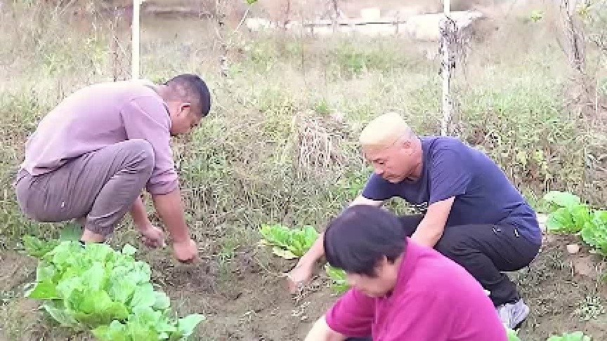 大江一家竟然用这招对付亲家？