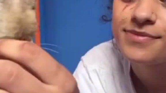 谢谢，不养猫了