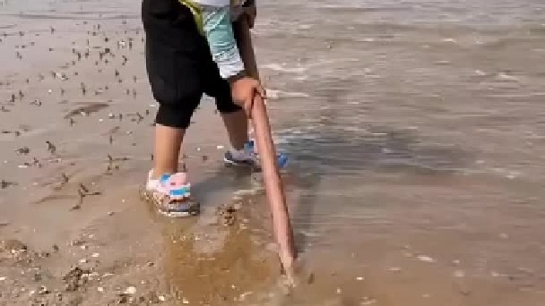 每天都记录我的农村真实生活日常