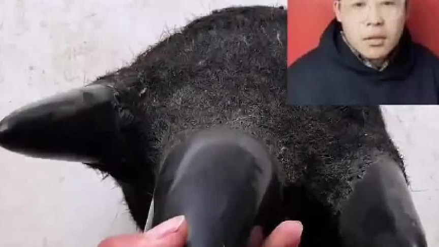 这玩意怎么越看越怪啊？你们认识吗？