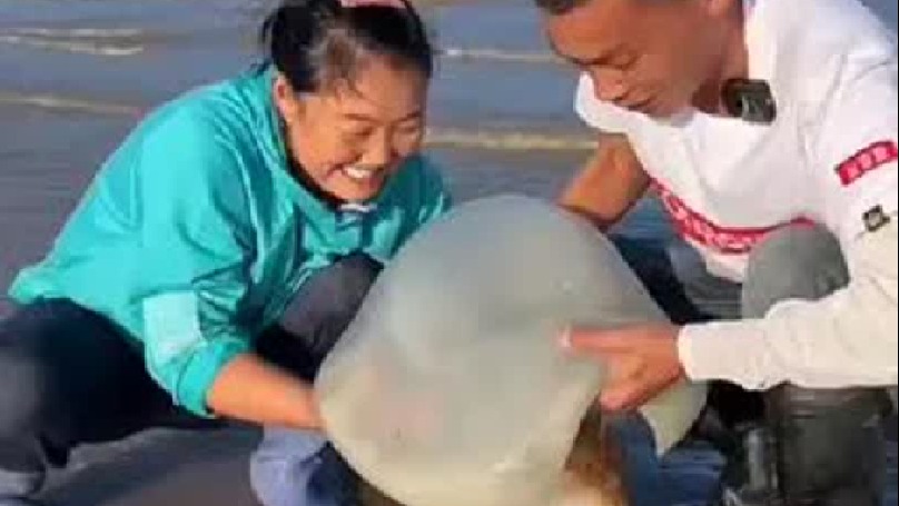 一日三餐人间烟火简单而美味