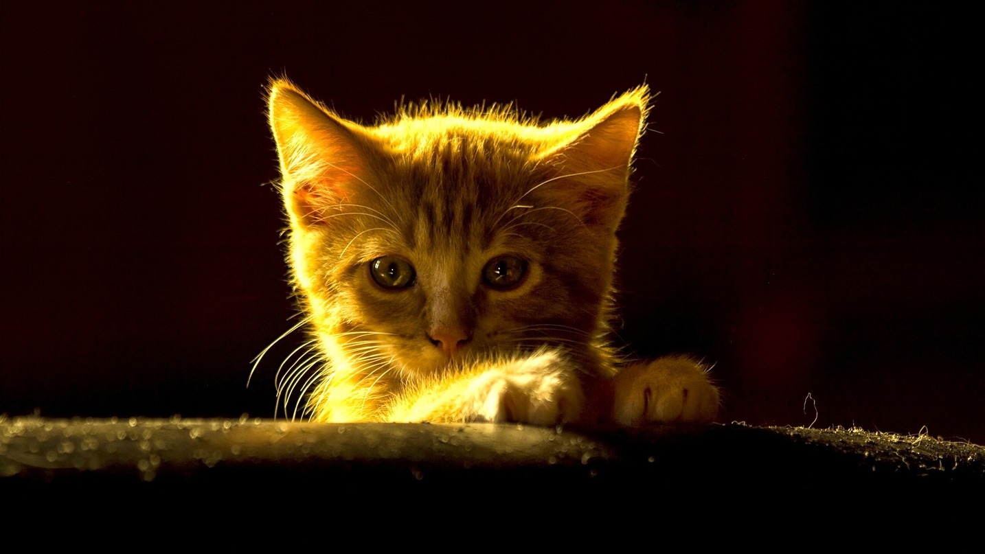 几度产生幻觉对攻激烈的一盘棋