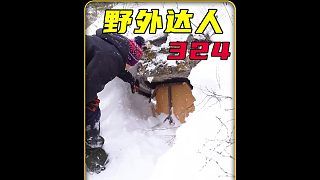 這才是最有安全感的庇護(hù)所