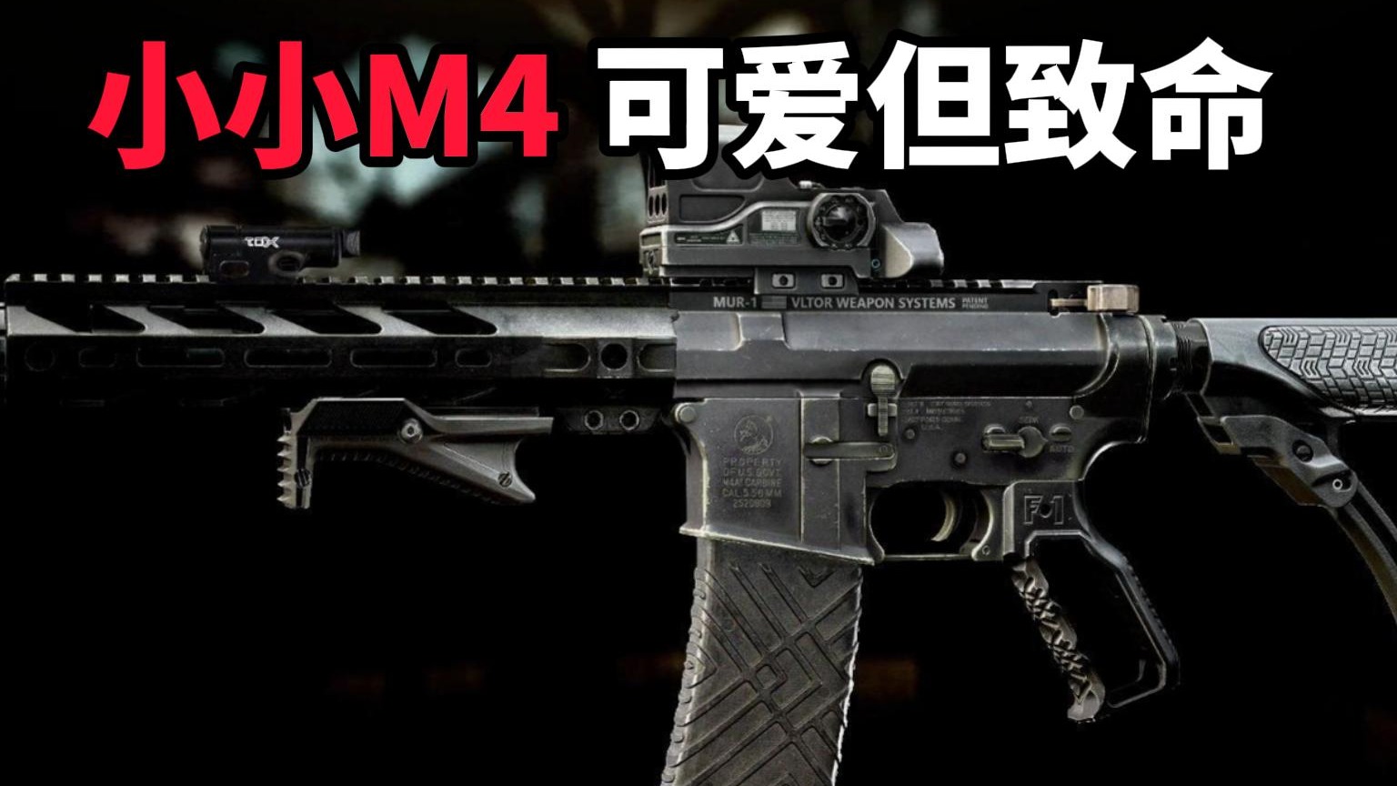 小小M4 可爱但致命 逃离塔科夫
