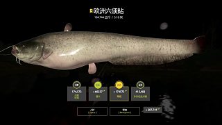 御豬航行-俄羅斯釣魚4拉豬