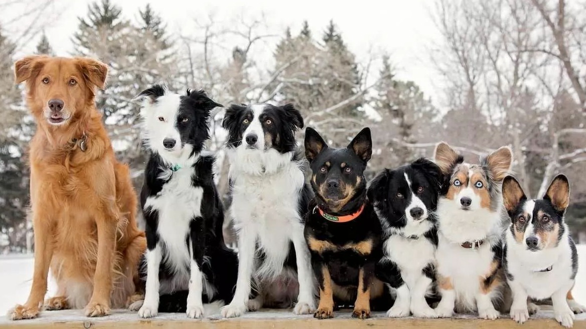 连胜十数炮，打上华山顶（2）