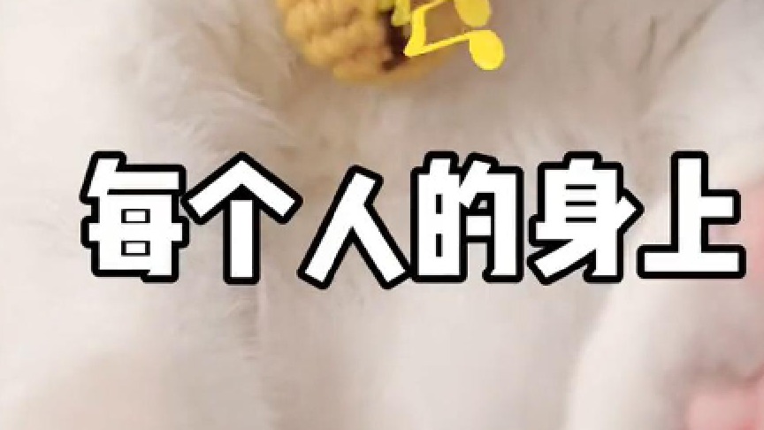 不知道当时为啥会说这句话 哈哈哈哈哈哈哈哈看我笑成这样应该是很好笑