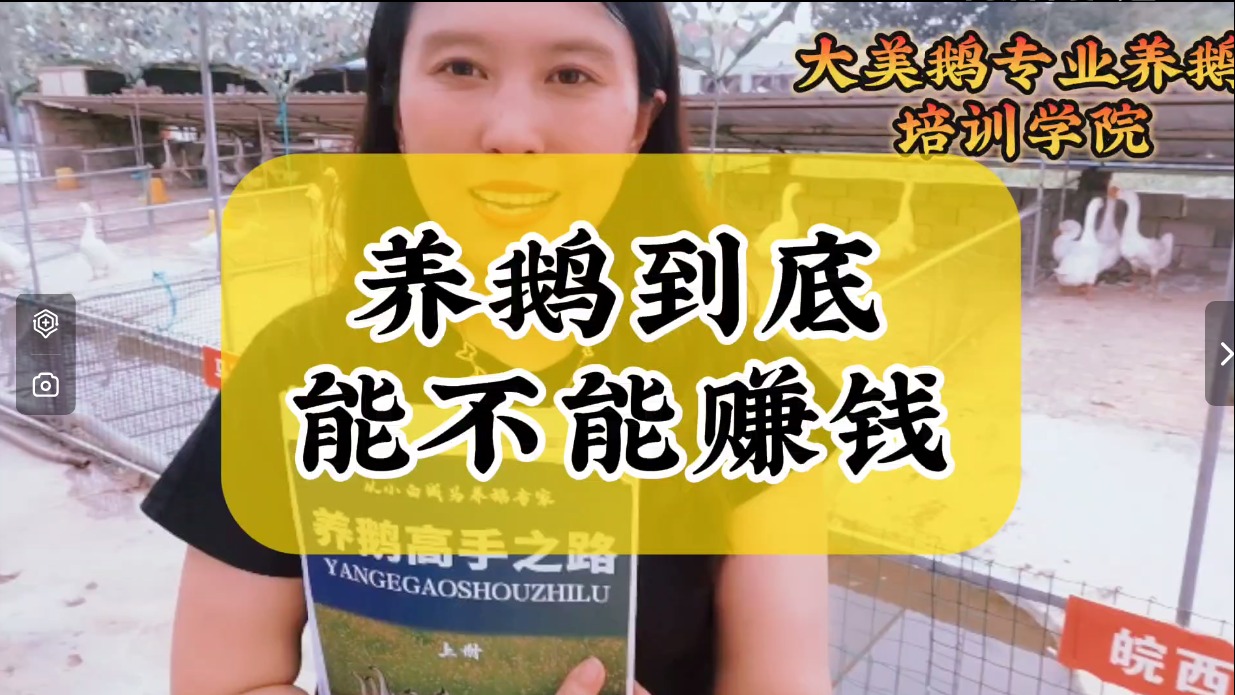 养鹅到底挣不挣钱？如何管理才能使养鹅的收益更高？来跟着我们一起来学习吧！