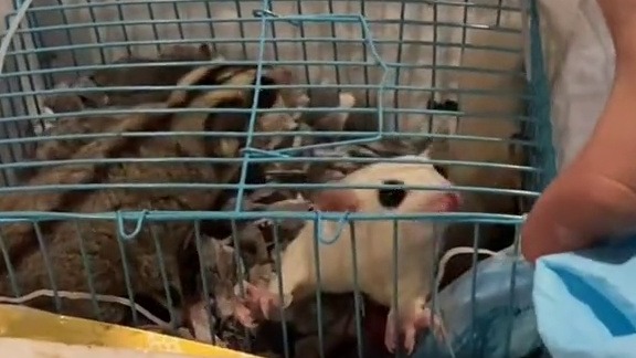 一天又要过去了，明天加油