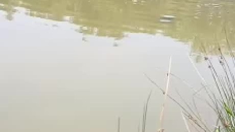 大学生猛龙过江！