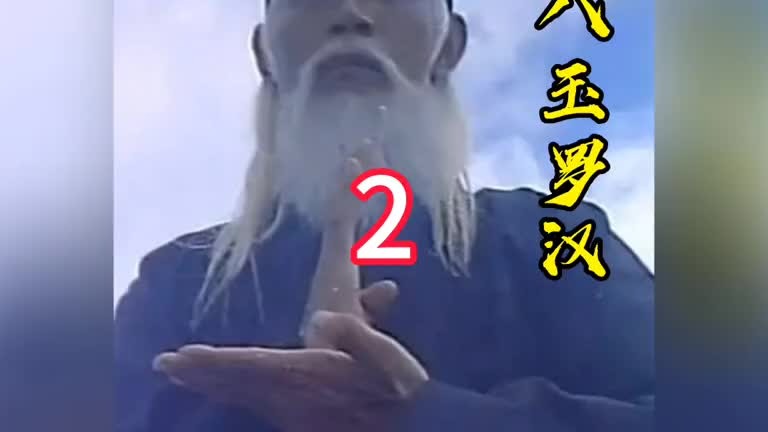 老头盗走少林九樽玉罗汉，领悟出罗汉掌
