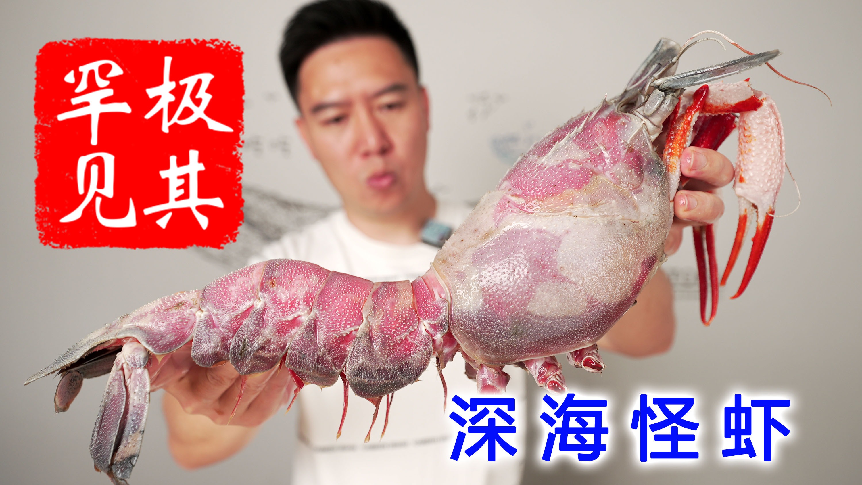 极其罕见的深海怪虾，一半翻车一半没翻车