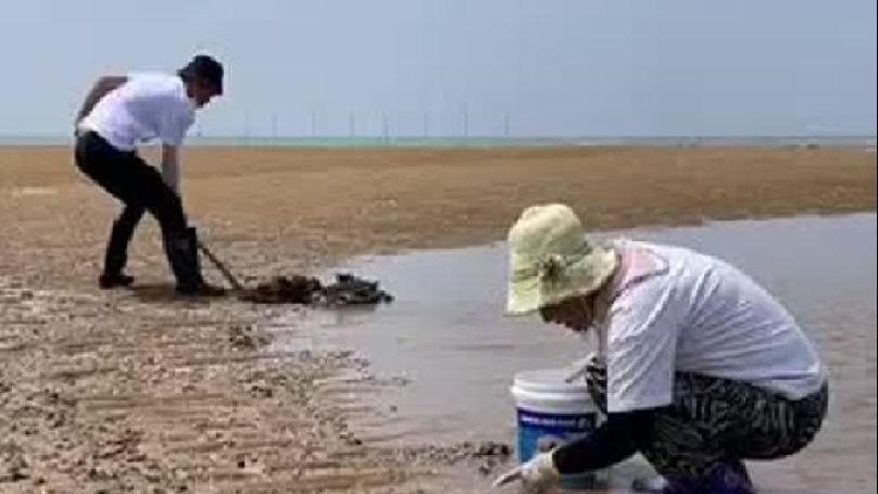 每天都记录我的农村真实生活日常