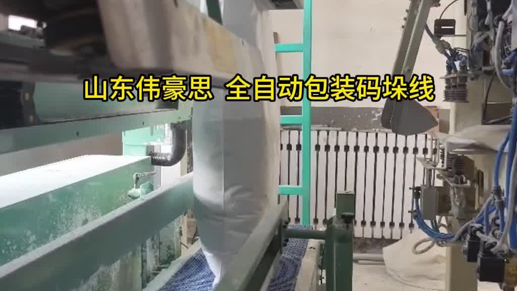 山东包装码垛机生产厂家 钙粉全自动包装码垛线