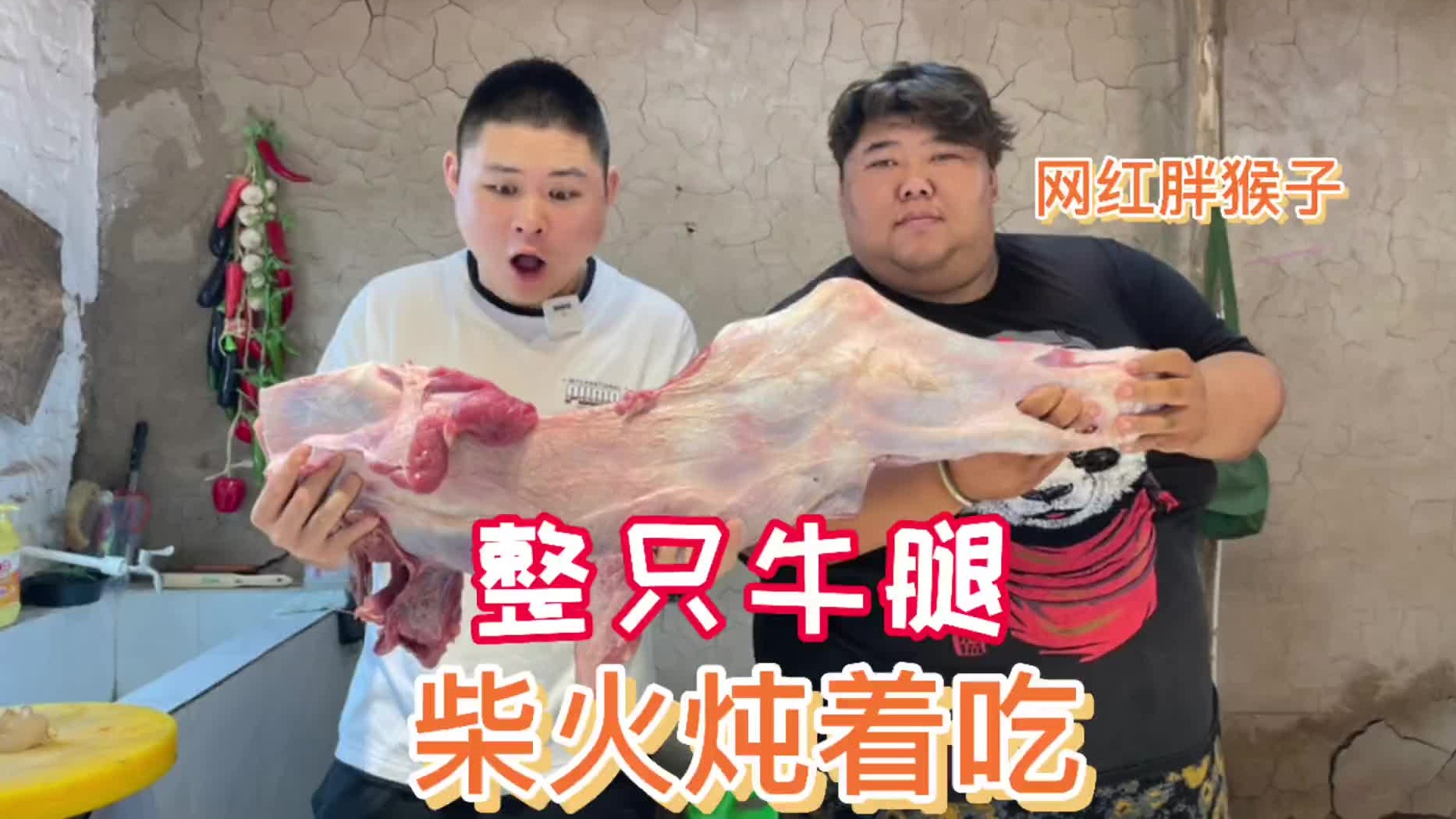 胖猴子在家炖一整只牛腿，大胖闻着香味就去蹭饭，直接干迷糊了！