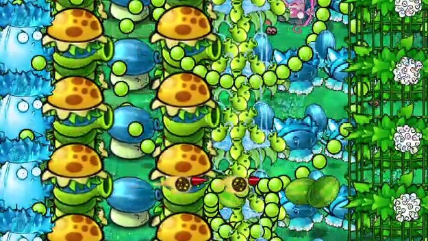 神秘植物 正在靠近 探秘其中有什么神秘之处