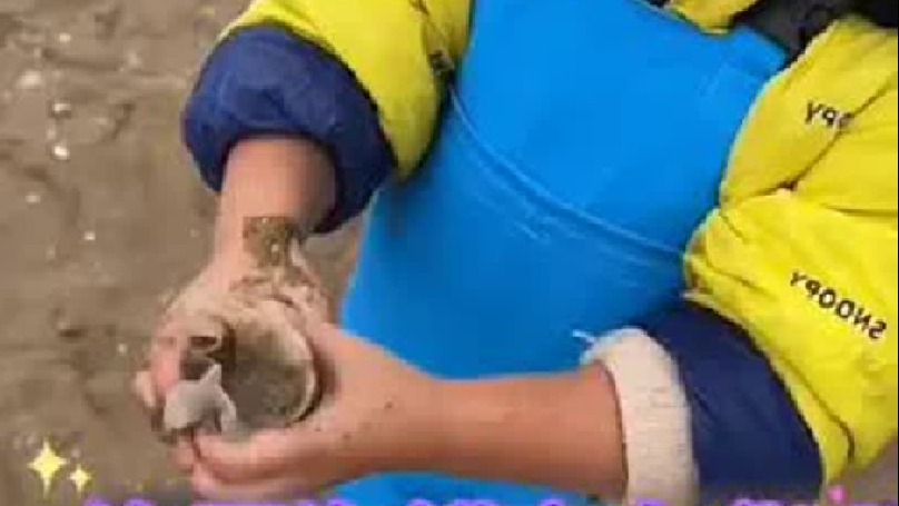 做菜我是认真的努力做好每一道菜