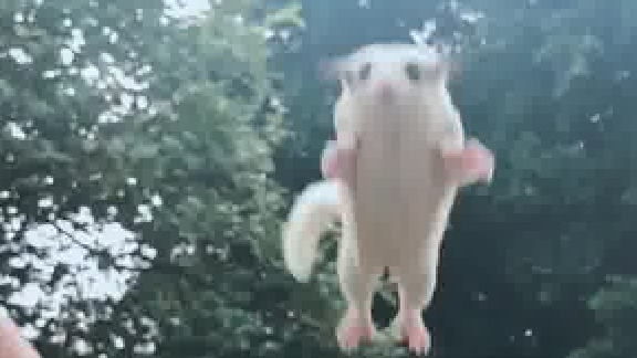 终于把家里收拾好了，明天就可以把自己喜欢的花草种上了