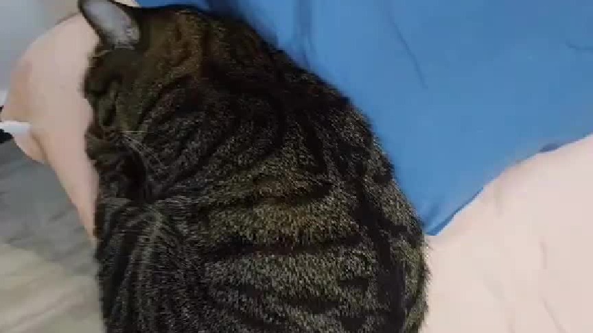 它把自己装作很可怜的样子，只敢睡在床边边，要不是这个像小猪一样的体型我就信了