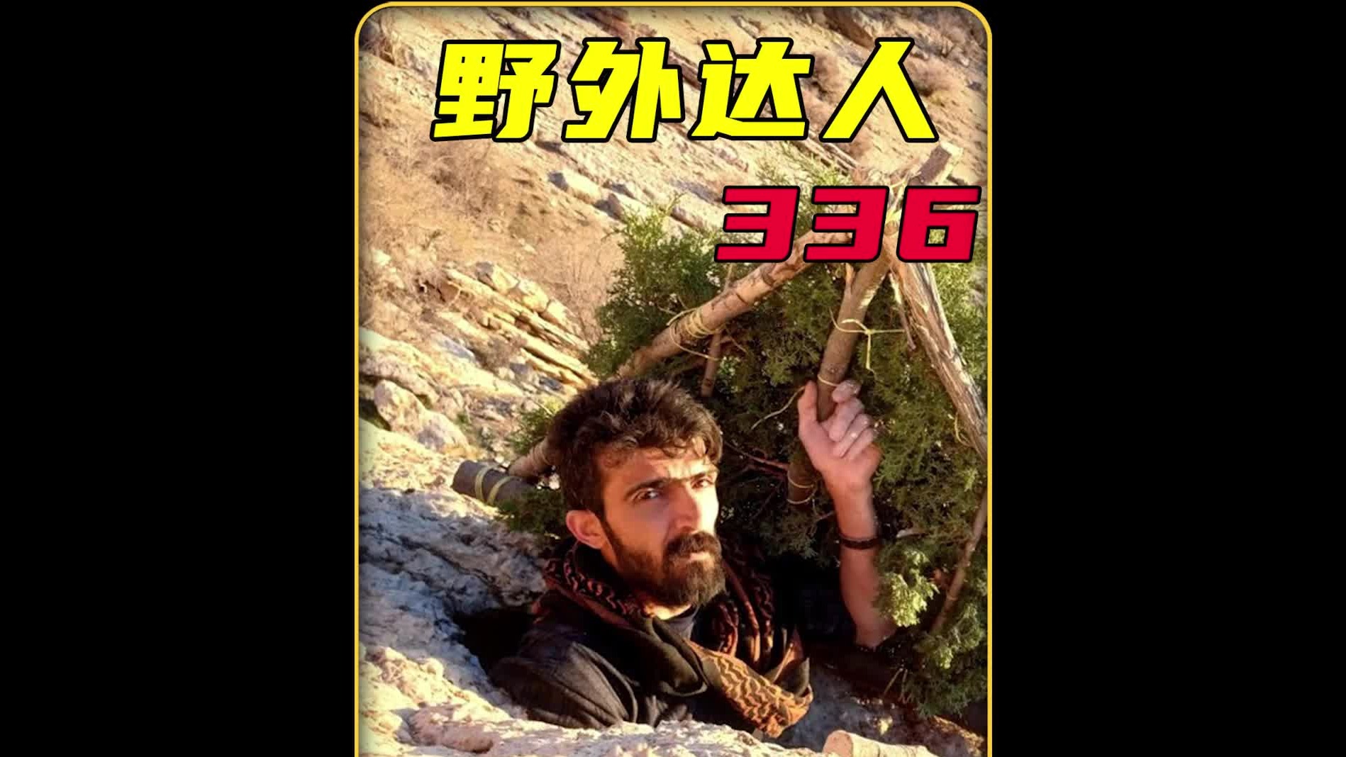 这才是野外建造天花板