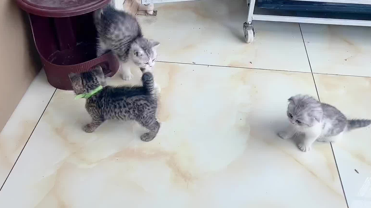 剪指甲真费劲啊