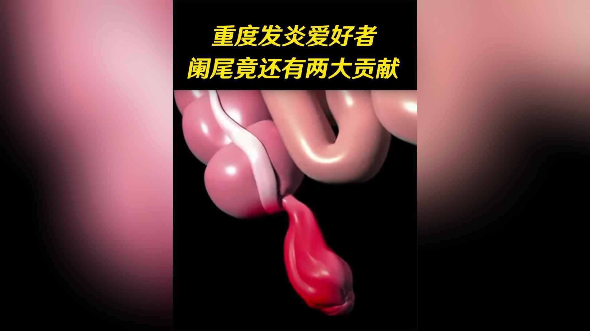 号称最无用的器官，阑尾真是可有可无的吗？其实它默默做了两件事