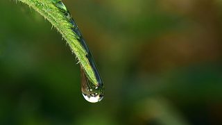 水滴落下的聲音 The sound of water droplets falling 1