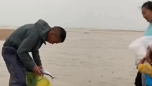 每天都记录我的农村真实生活日常