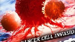 癌细胞为何要和人类同归于尽？癌细胞 科普一下 涨知识