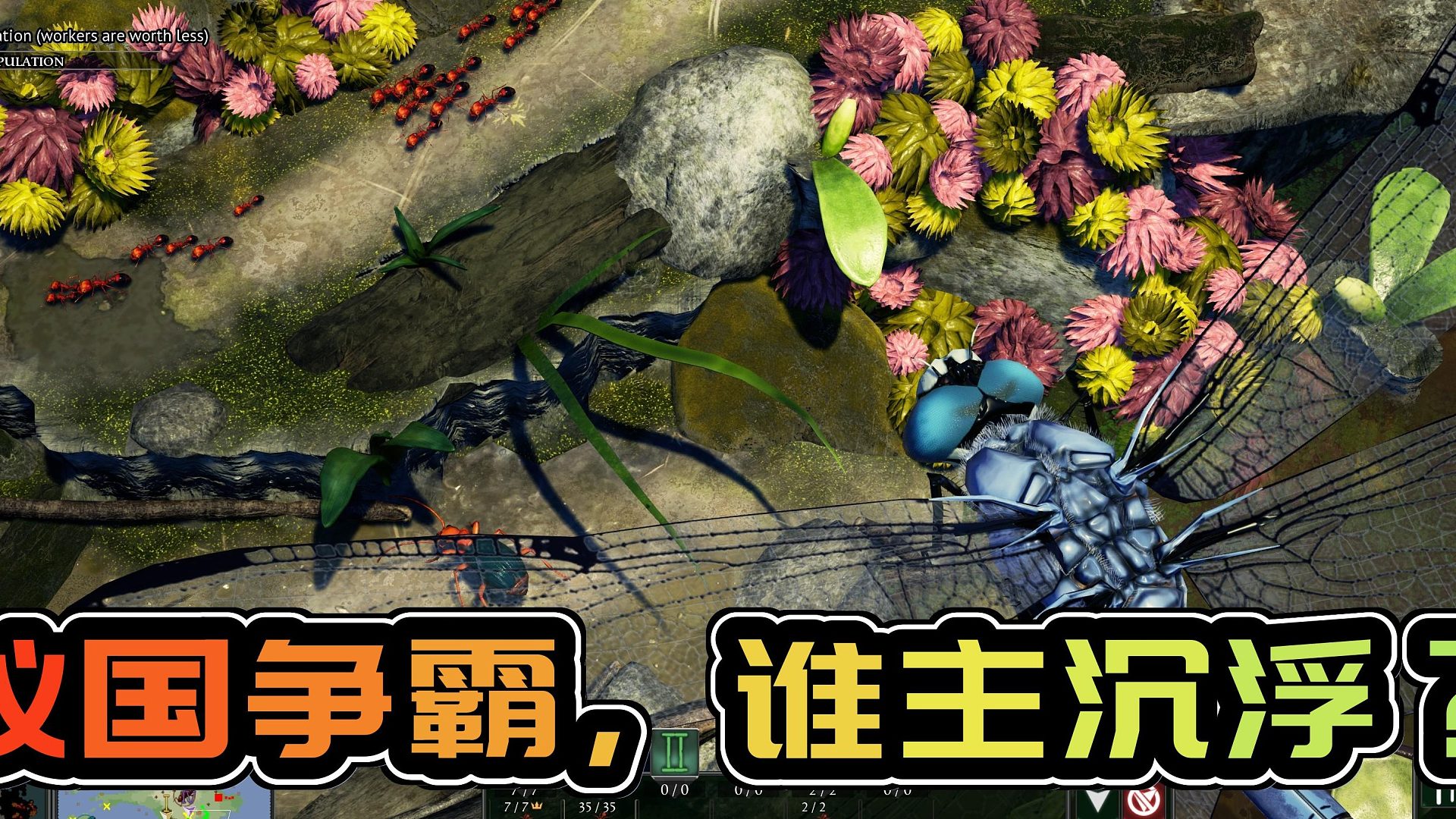 地下蚁国探秘：微观世界的战争史诗，蚁群帝国崛起之路等你亲自开启！