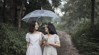 下雨的聲音 The sound of rain