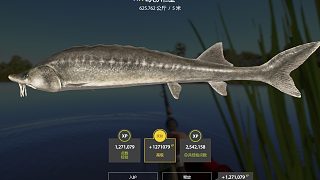 5185 起魚