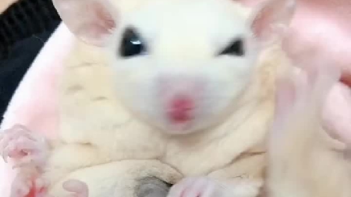 来给他们hen一个！！！