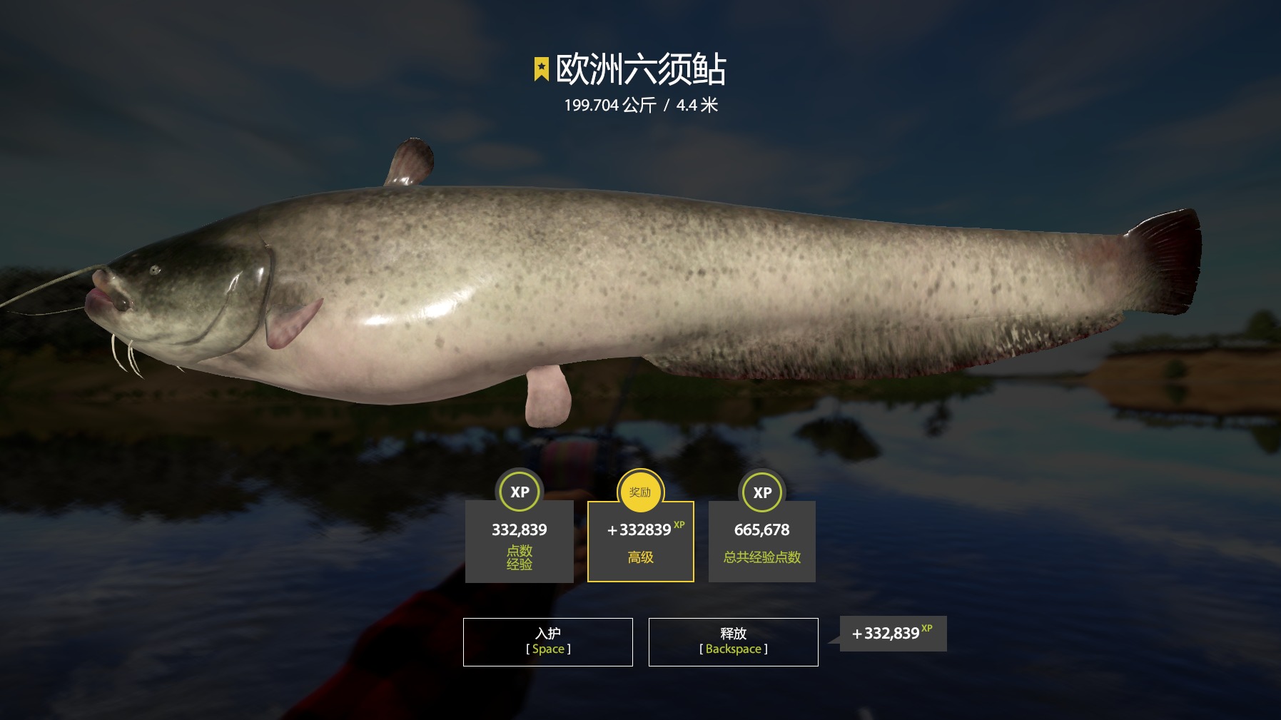 年复一年，牛马复牛马。