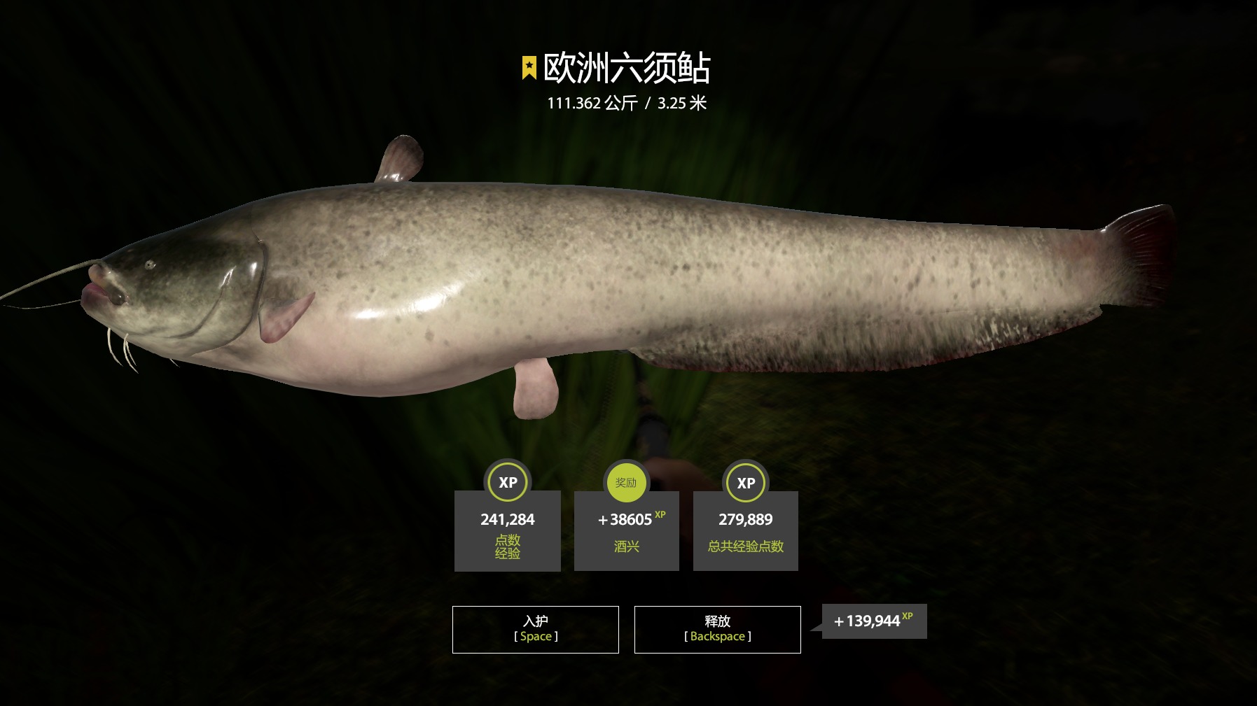 表面蹲鳇，实际搞猪？