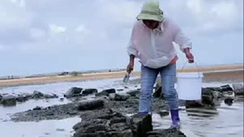 每天都记录我的农村真实生活日常赶海赶海赶海啦