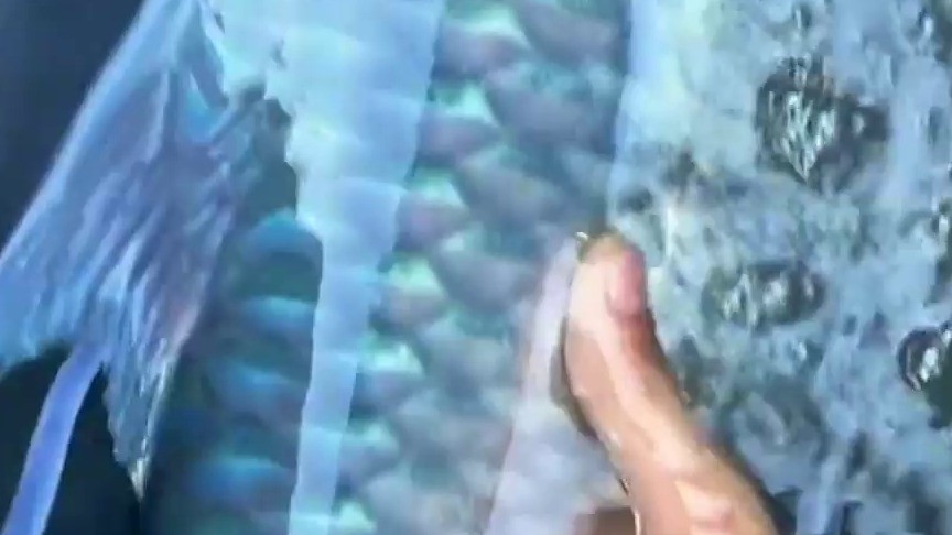 帅小伙带女友远赴云南边境，寻找稀有蓝色神仙鱼种