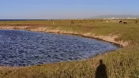 换露营地了，今天得劲了，一个月没吃肉了！