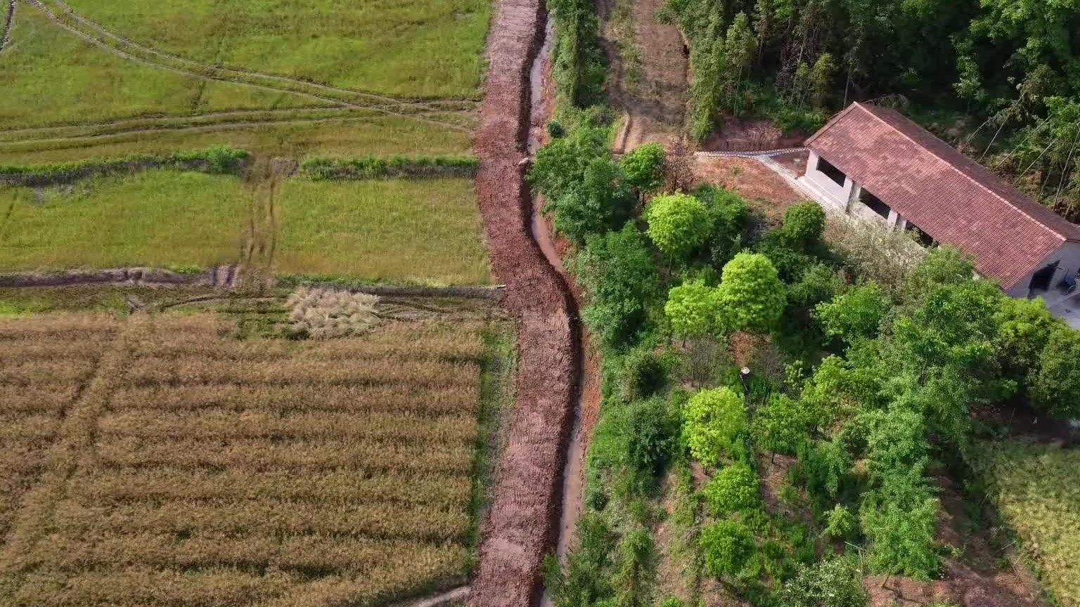 田里修条机耕路，以后种田就是一条龙服务。哎，就很棒