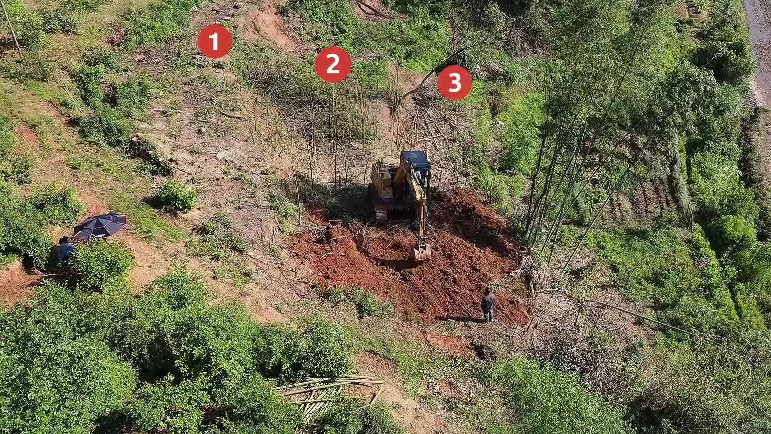 喊挖机过来把三块地搞成一个大斜坡，老板准备种茶树。吃茶籽油