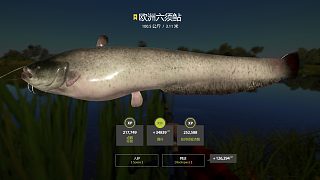 壓線星豬