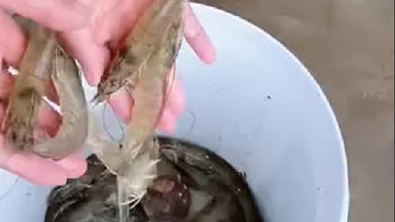 每天都记录我的农村真实生活日常