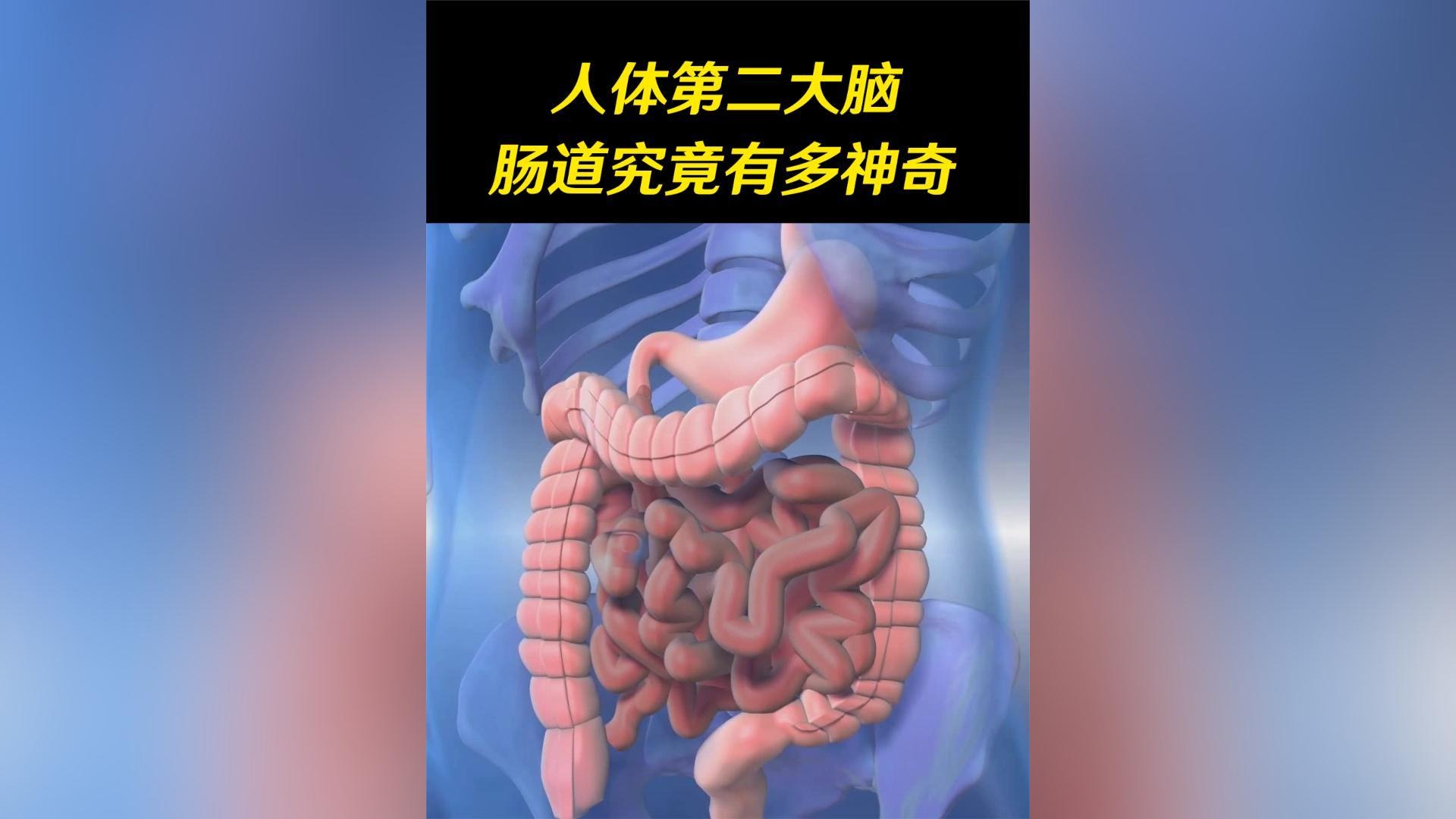 身体“第二大脑”，肠道究竟有多神奇？