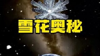 科学家发现几乎每片雪花都是六边形，但世界上找不出一摸一样的雪花，雪花带着宇宙的公式从四维向三维喊话，