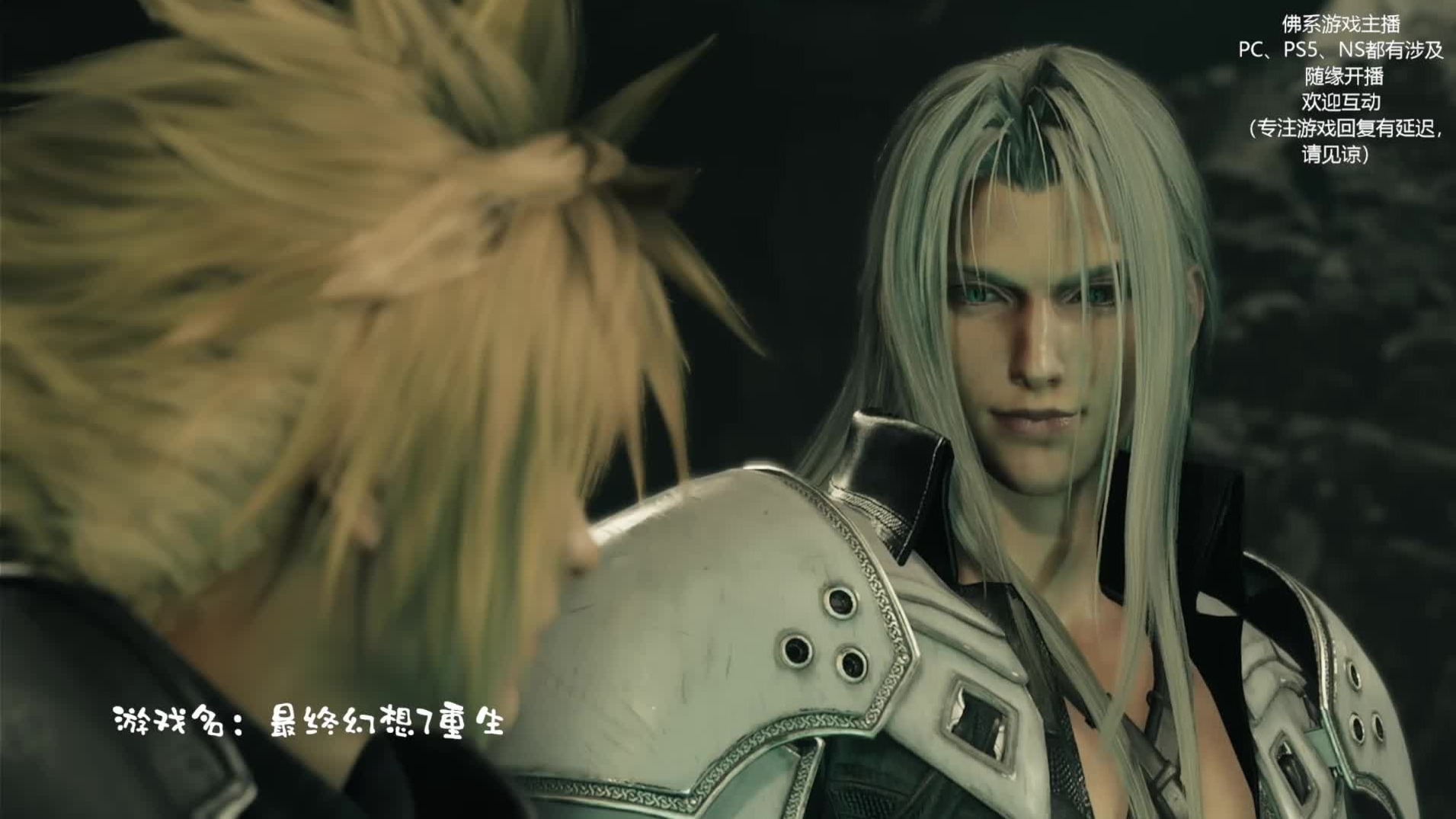 萨菲罗斯与克劳德联手对抗怪物